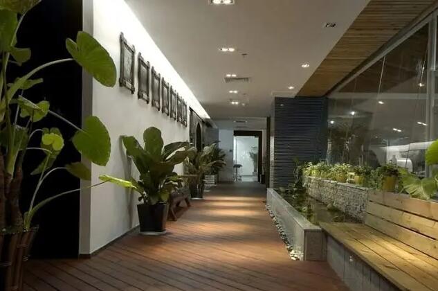 辦公樓綠植租賃