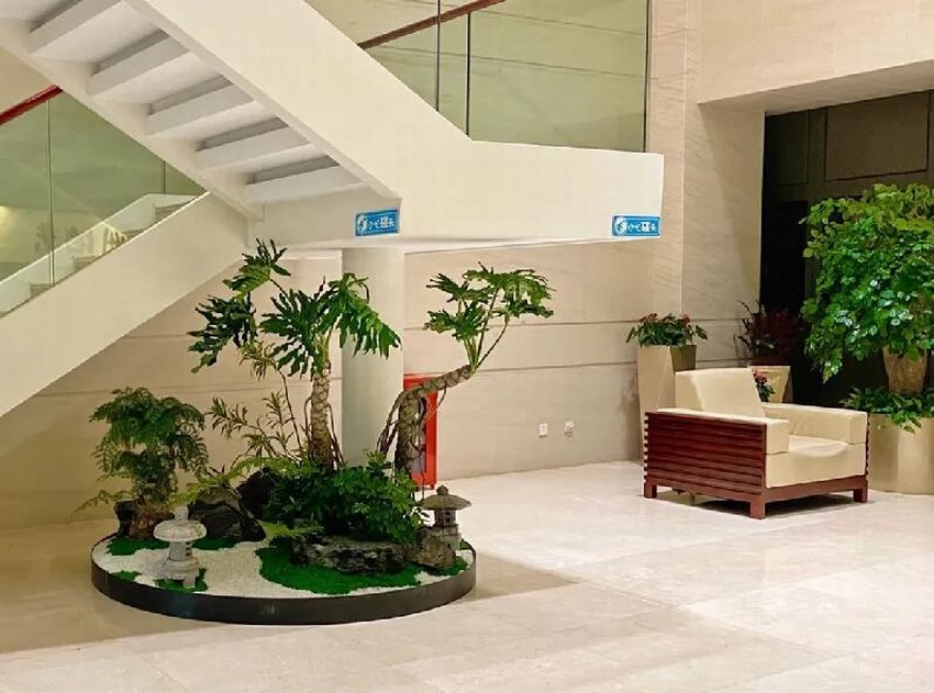 辦公樓綠植租賃