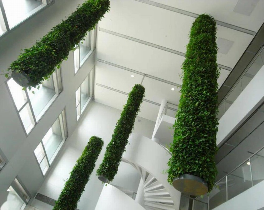 辦公樓綠植租賃