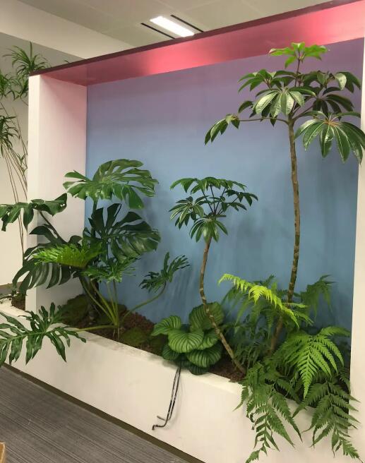 酒店綠植租賃
